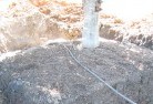 Goonoo Foresttree-transplanting-4.jpg; ?>